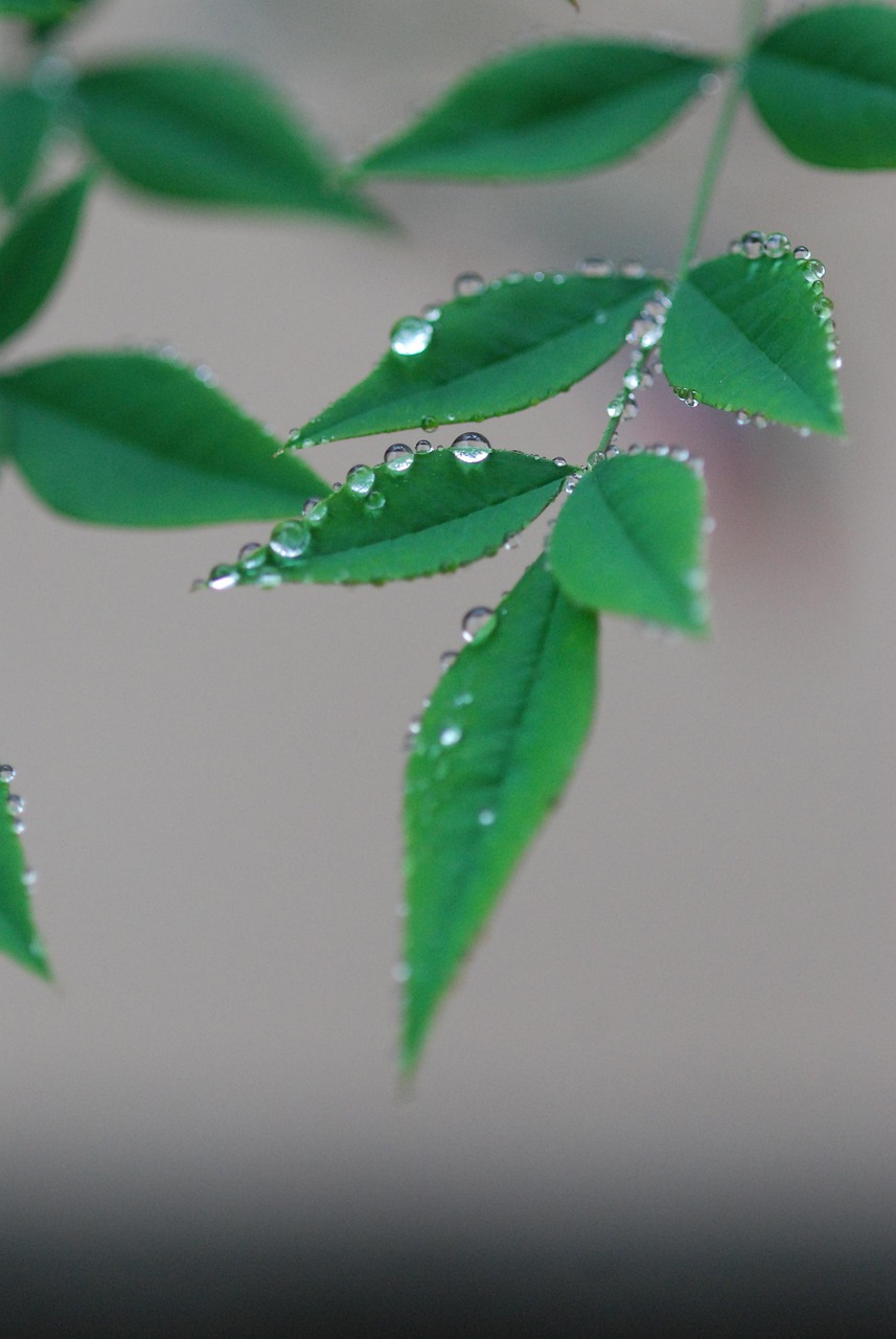 効果的な髪の保湿方法