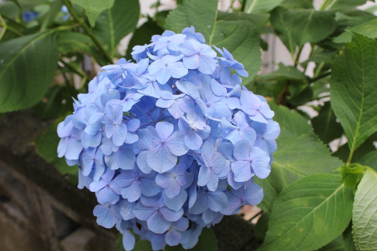 今すぐ相談してみませんか？